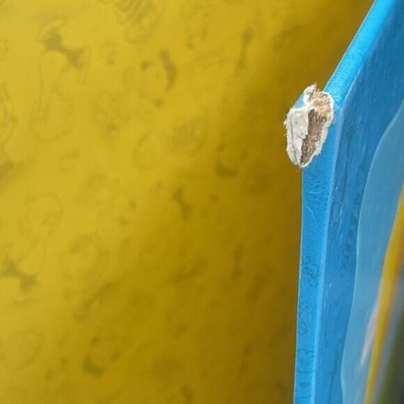 Charlie Brown Plush & "Be Yourself" Book By Charles M. Schulz Kohls Cares - Picture 2 of 4